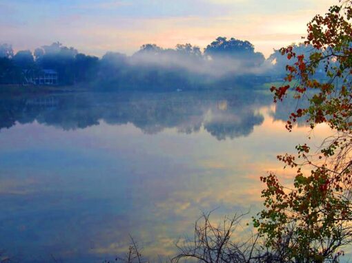 Lake Gem Mary Environmental Study